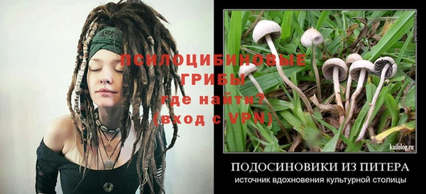 твердый Киреевск