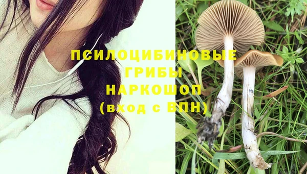 PSILOCYBIN Кинешма