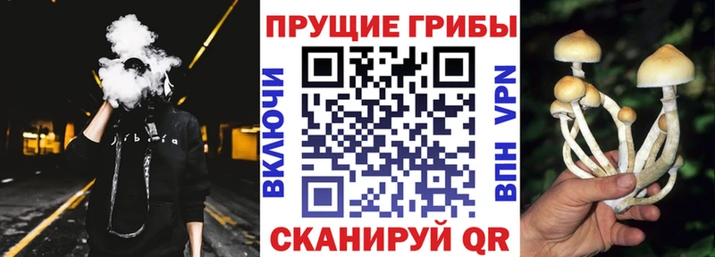 Купить где  Можайск  Псилоцибиновые грибы прущие грибы 
