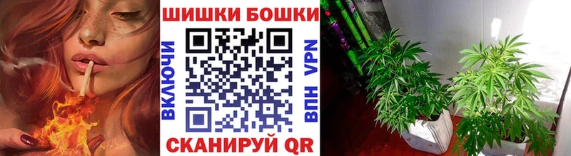 Марихуана OG Kush  Купить  Можайск 